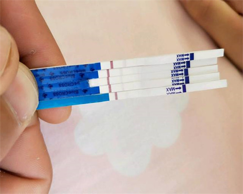 北京供卵成功率,北京正规合法的供卵试管机构有哪些?在北京做三代试管婴儿