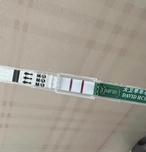 北京代怀价格明细,北京供卵试管包成功博客