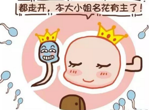 北京代生中心电话,北京供卵经历：北京哪里有供卵机构