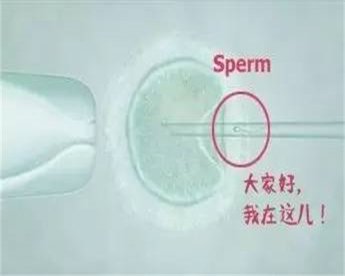 北京试管婴儿哪个医院技术更好,北京试管婴儿最好的医院排名！
