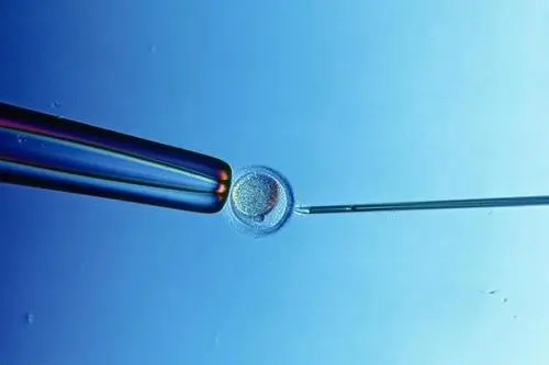 孕妇早上醒得早是男孩怀孕醒得很早生男孩