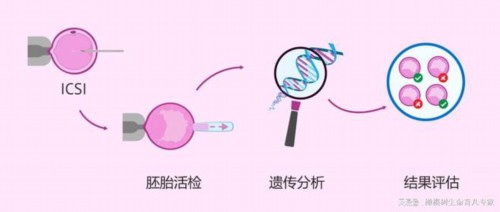 北京试管助孕公司有哪些