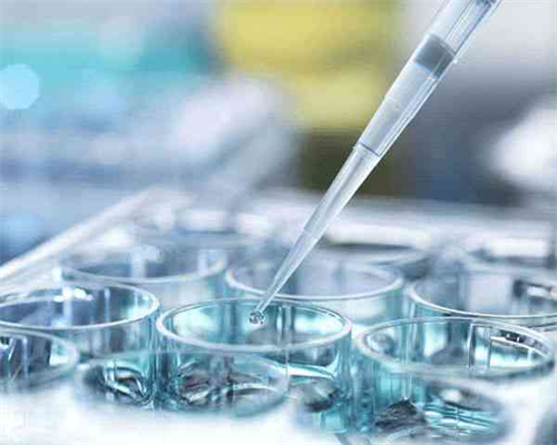 北京供卵选男孩,,正式爆料北京试管公司