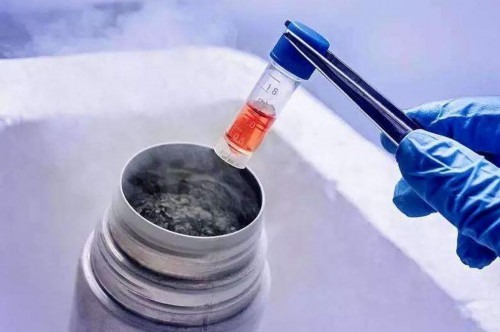 供卵代怀费用,做试管婴儿之前注意事项