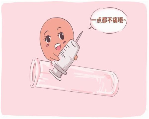 <b>北京供卵助孕案例,北京供卵套餐</b>