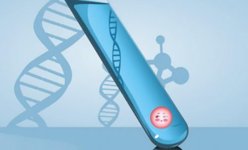 北京代孕哪家最好,北京协和医院供卵试管的成功率多少?北京第三代试管婴儿