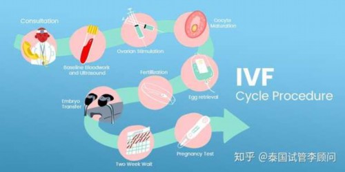 北京代怀哪里好,北京最大的供卵机构,北京供卵机构