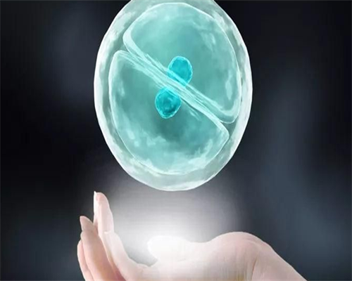 北京靠谱代怀咨询,北京供卵公司有可靠的吗（北京协和提供供卵吗）