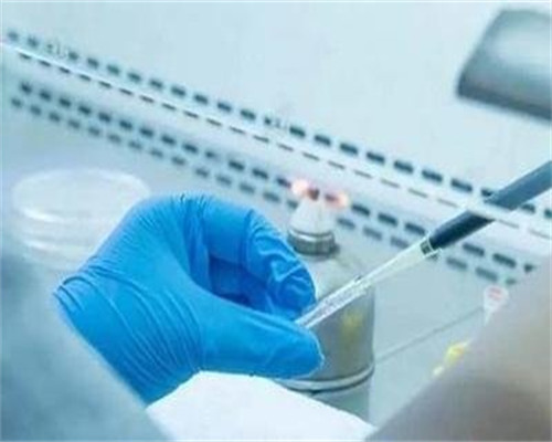生男孩要吃鸡胗吗？为什么有人认为食物可以影响胎儿性别？