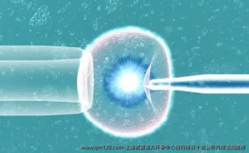 北京试管代孕网,北京三代试管婴儿推荐附民营生殖试管费用，2026年已更新|北京