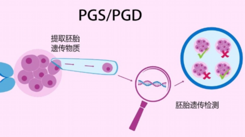 2026北京一代试管婴儿费用详解，成功率又有多少！