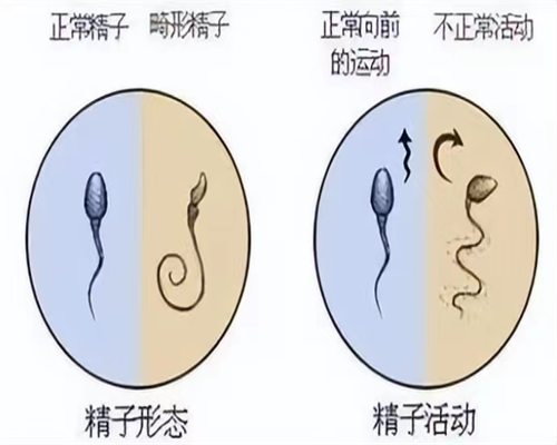 北京代孕机构靠谱吗,北京包男孩试管医院排名