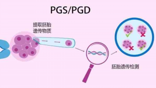 北京可以代生吗,北京供卵试管公司，北京试管婴儿流程