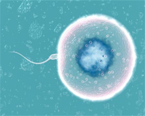 北京代怀代生价格,北京三代试管包男孩靠谱吗?北京试管婴儿第三代可以选性