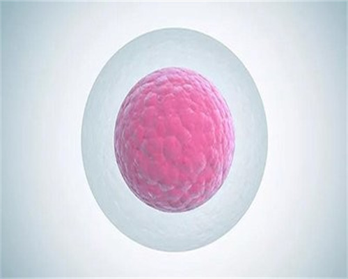 北京心悦代怀中心,北京供卵中心靠谱吗,北京供卵试管中介靠谱吗