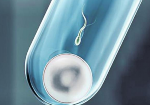 北京医院供卵试管婴儿,北京三代试管包成功_北京三代试管攻略
