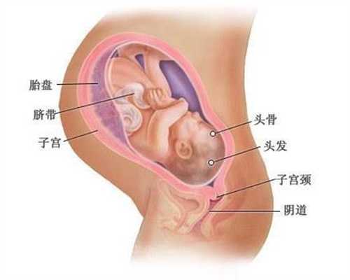 黄体酮保胎效果怎么样_北京代孕产子合法吗
