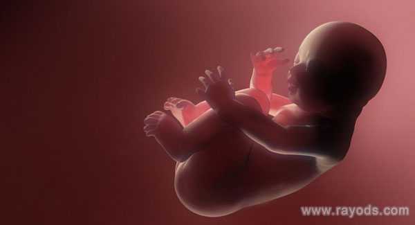 精子活力低怎么办_习惯性流产的过程_泰国试管婴儿攻略之遇到胚胎停育该如何